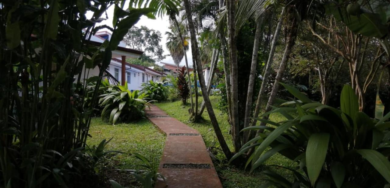Geliwa B&B Турриальба Экстерьер фото